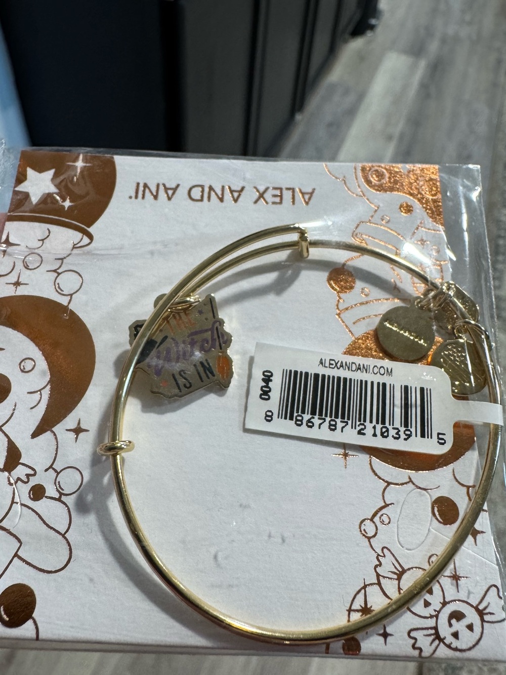 Alex and Ani Gold Tone Charm Bangle Bracelet with Witch Charm